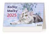 Stolní kalendář 2025 Kočky/Kočky