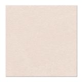 Ubrousky PAW AIRLAID 40x40 cm Monocolor (beige)