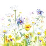 Ubrousky DAISY C (20ks) Beautifull Flower Meadow