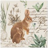 Ubrousky PAW Dekor L (20ks) Mystery Bunny