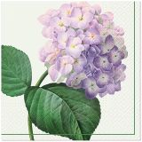 Ubrousky PAW Dekor L (20ks) Vintage Hydrangea