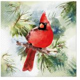 Ubrousky PAW Dekor L (20ks) Winter Cardinal