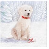 Ubrousky PAW Dekor L (20ks) Snow Dog