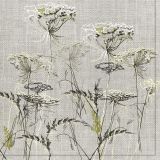 Ubrousky DAISY L (20ks) Achillea Sketch on a Linen Background