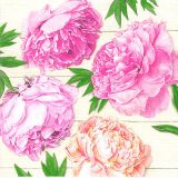 Ubrousky DAISY L (20ks) Romantic Peonies on White Wood