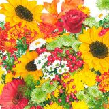 Ubrousky DAISY L (20ks) Rich Autumn Bouquet