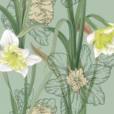 Ubrousky DAISY L (20ks) Narcissus on Sage Background