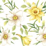 Ubrousky DAISY L (20ks) Watercolour Daffodils