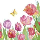 Ubrousky DAISY L (20ks) Watercolor Tulips