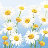 Ubrousky DAISY L (20ks) Lovely Marguerites on Blue