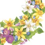 Ubrousky 33 x 33 cm DAISY 20 ks