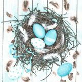 Ubrousky DAISY L (20ks) Pastel Blue Eggs in Natural Nest