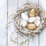 Ubrousky DAISY L (20ks) White Cold Eggs in Wicker Nest