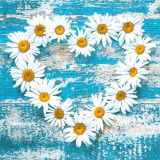 Ubrousky MAKI L (20ks) Daisy Hearts on Old Wooden Background