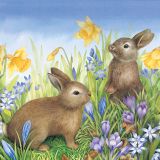 Ubrousky PAW TETE L (20ks) Rabbits on Spring Meadow