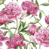 Ubrousky PAW TETE L (20ks) Pink Peonies