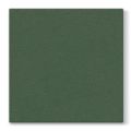 Ubrousky PAW AIRLAID L 40x40cm Unicolor Dark Green