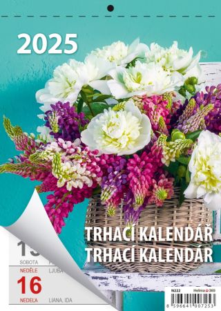 Nástěnný kalendář 2025 Týdenní trhací kalendář A5, Týdenní trhací kalendář