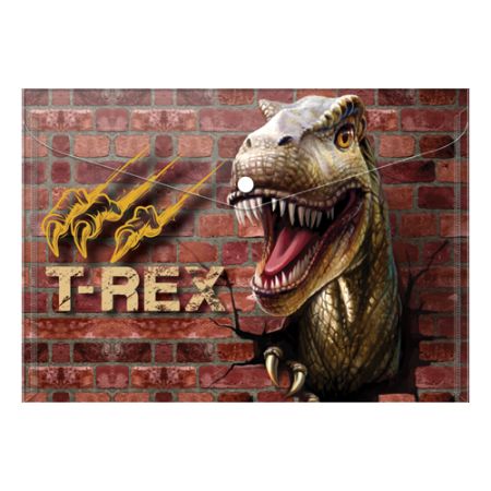 Obal PP s patentem A4, T-Rex