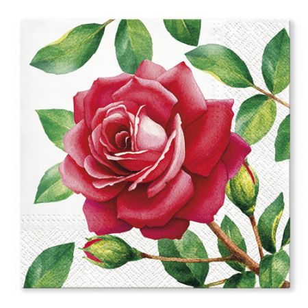 Obrousky TaT 33x33cm Special Rose