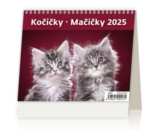 Stolní kalendář 2025 MiniMax Cats/Pussies