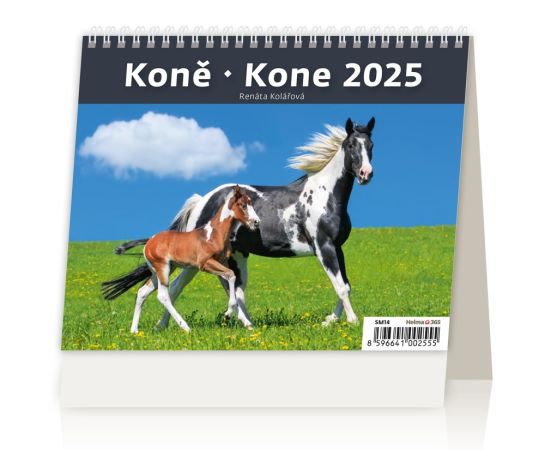 Stolní kalendář 2025 MiniMax Horses/Kones