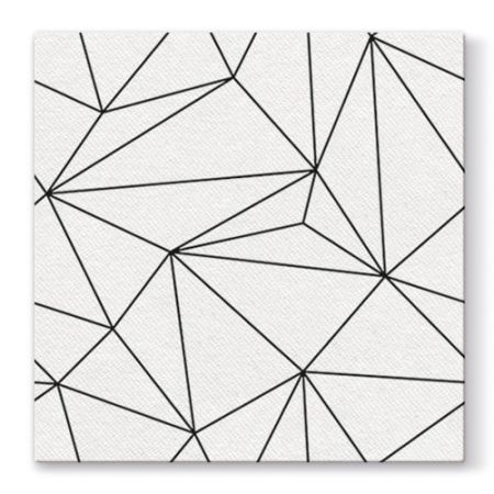 Ubrousky PAW AIRLAID L 40x40cm Geometric Lines White