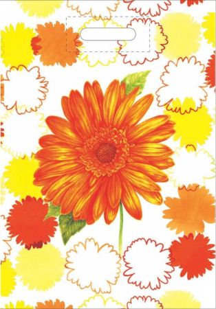 taška 50 x 35 gerbera - silná