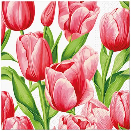 Ubrousky PAW Dekor L (20ks) Tulip Time