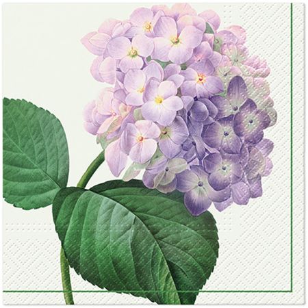 Ubrousky PAW Dekor L (20ks) Vintage Hydrangea