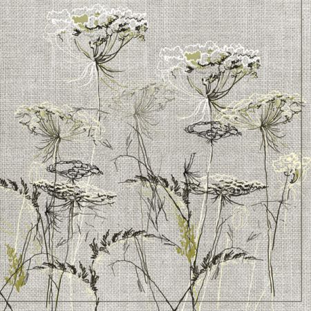 Ubrousky DAISY L (20ks) Achillea Sketch on a Linen Background