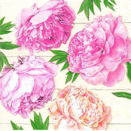 Ubrousky DAISY L (20ks) Romantic Peonies on White Wood