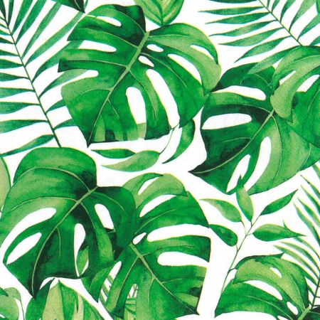 Ubrousky PAW TETE L (20ks) Monstera