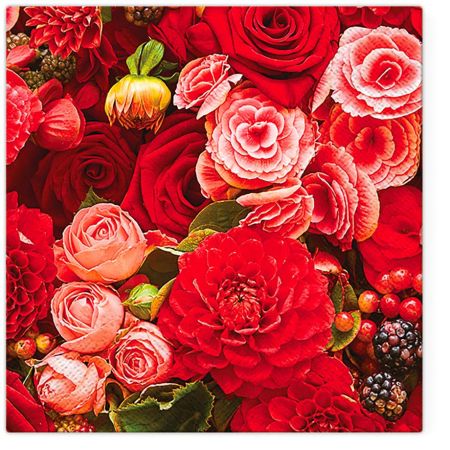 Ubrousky PAW TETE L (20ks) Red Bouquet