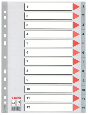 Rozdružovač A4 plastový šedý Esselte - 1 - 12