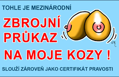 Průkaz Tohle je mezinárodní zbrojní průkaz