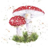 Ubrousky MAKI L (20ks) Painted Toadstool