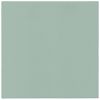 Ubrousky PAW AIRLAID 40x40 cm Monocolor Light Green