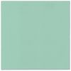 Ubrousky PAW AIRLAID 40x40 cm Monocolor (mint)