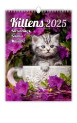 Helma 365  Nástěnný kalendář Koťata/Katzenbabys/Kittens/Kittens