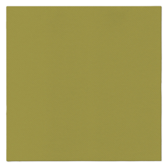 Ubrousky PAW AIRLAID 40x40 cm Monocolor olive