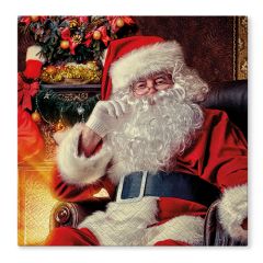 Ubrousky TaT 33x33 cm Santa at Home