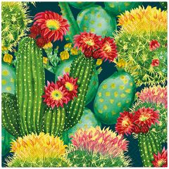 Paw  Ubrousky PAW Dekor L (20ks) Vibrant Cacti