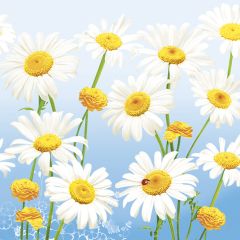 Pol-Mak  Ubrousky DAISY L (20ks) Lovely Marguerites on Blue