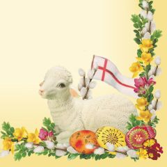 Pol-Mak  Ubrousky DAISY L (20ks) Lamb