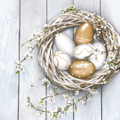 Pol-Mak  Ubrousky DAISY L (20ks) White Cold Eggs in Wicker Nest