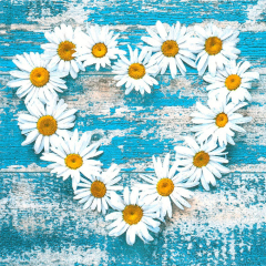 Pol-Mak  Ubrousky MAKI L (20ks) Daisy Hearts on Old Wooden Background