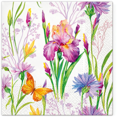 Paw  Ubrousky PAW TETE L (20ks) Iris with Butterfly