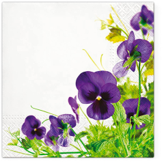 Paw  Ubrousky PAW TETE L (20ks) Pansies Frame