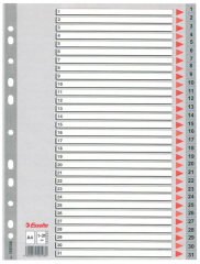 Rozdružovač A4 plastový Esselte - šedý / 1 - 31